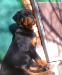 Jade - 5 months