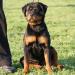 Jade of Rot Empire - 6,5 months