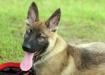 Jäger - 13 weeks