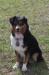 Cali 3 years old