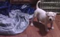 carly as a baby
