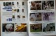 Bully Girl Magazine