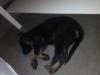 Samantha first nigth sleeping