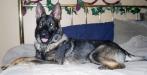 Ruger growing up pictures
