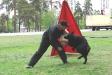 Breeding German Shepherd male