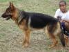 Loki 20090307