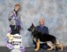 Best in Show - Calgary Kennel &amp; Obedience Club on Saturday May 14, 2016
