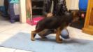 4 months old