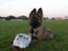 Gia 13 1/2 weeks