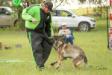2018-06-02 South TX Syndicate Ringsport Club - MR Trial - Level 1 - Defense of handler w/USMRA decoys Allison Seghetti-Kehoe & Connor Mckeev