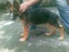 3 mos and 1wk