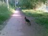 at the river park trail