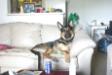 Chillin