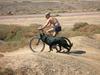 Bici
