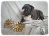 3 week old