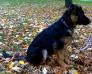 3 months old 3