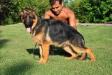 Xork- stay - 4.5 months old