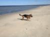 Pictures of Luma