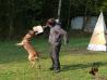 Training