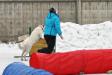 Agility