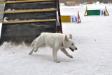 Agility
