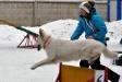 Agility