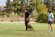 6 months old, participation in Davide Codebue seminar