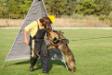 6 months old, participation in Davide Codebue seminar