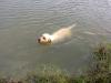 Swimming