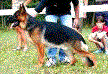 Kevin van Contra Picture