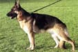 Urka des Marquaises Picture