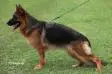 Nelly di Zenevredo Picture