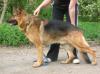 Milan von der Reck-Kamensche Heide Picture