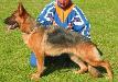 Nena vom Hutberg Picture