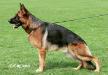 Xadro von Streek Picture