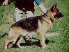 Kally van Dan Alhedy's Hoeve Picture