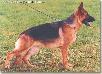 Alice von der Rochele-Ranch Picture