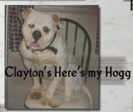 Clayton's Here's my Hog 1