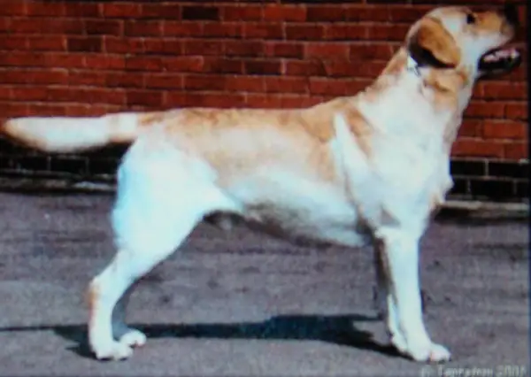 Tapeatom Storm Force