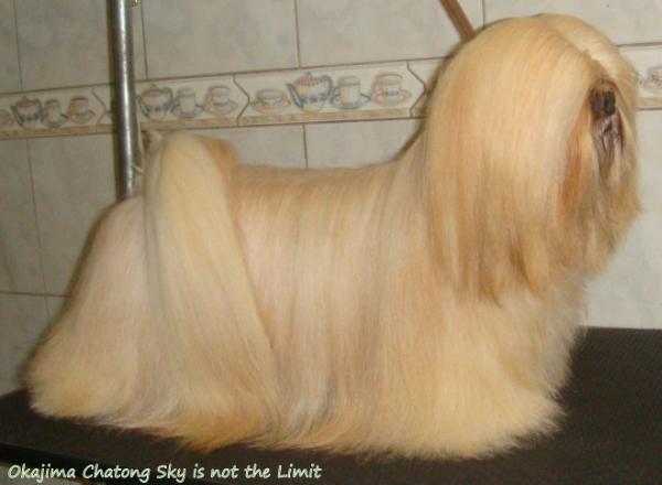 GRD BRAS, PAN CH Okajima Chatong Sky Is Not The Limit