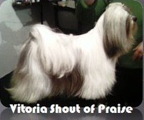 Vitoria Shout Of Praise