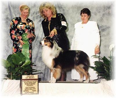 CH Briarbrooks Silverware