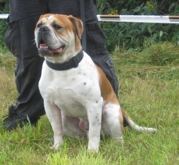 Garden City's Hank