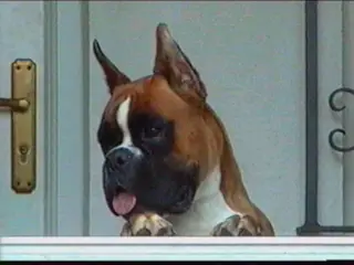 Quiara Von Bernsteintal