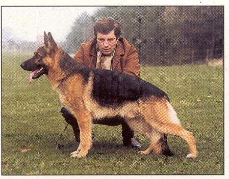 V Jüpp von Patanja's Hof