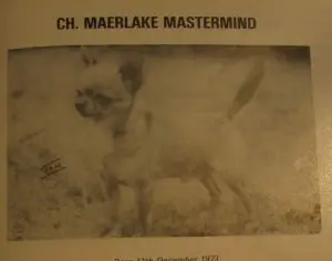 Maerlake Mastermind