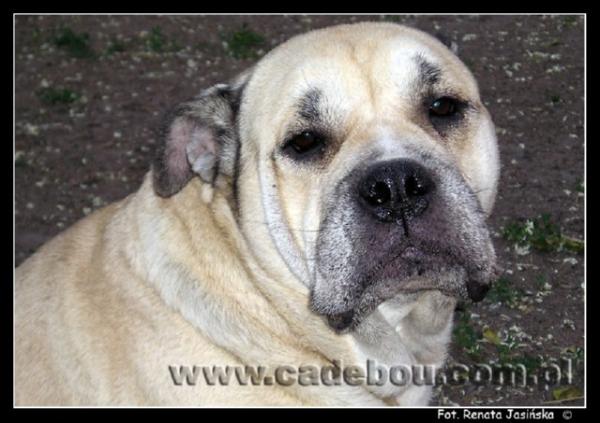 Jasmin Belle Fille Osanna