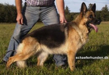 V Gina vom Trossbachtal