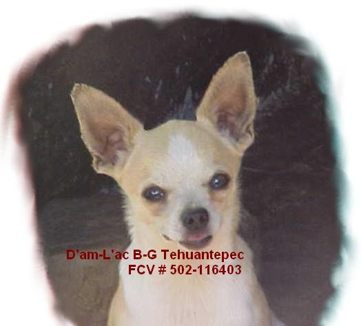 D'am-L'ac B-G Tehuantepec