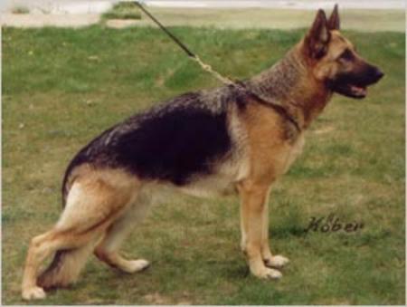 Gerie aus Wattenscheid
